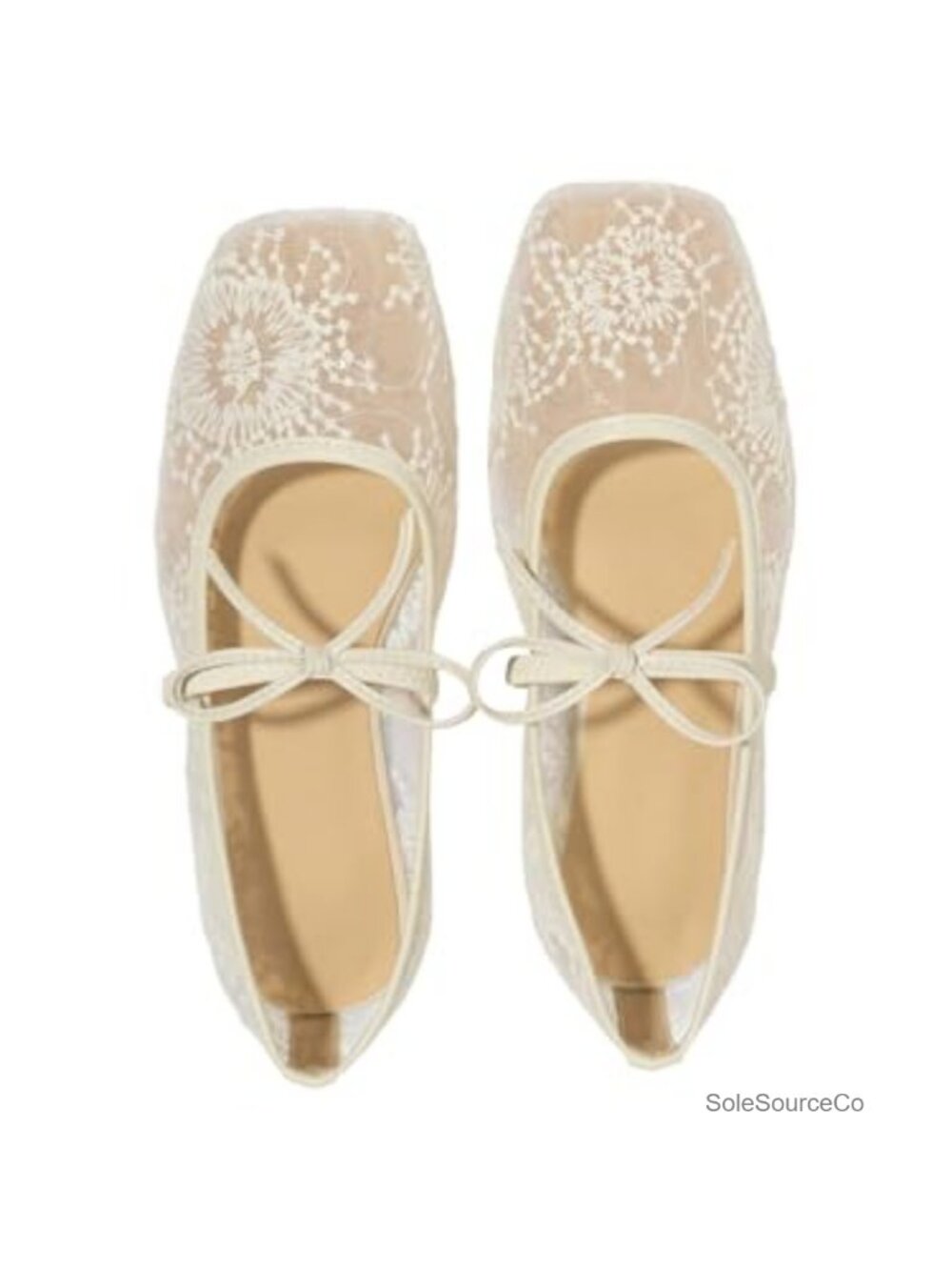 Lace Mesh Ballet Flats Embroidered Square Toe Dress Shoes